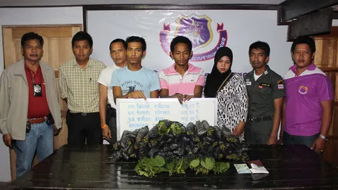 รวบแก๊งขนใบกระท่อมจากมาเลย์ฯเข้าไทย คาด่าน อ.เบตง