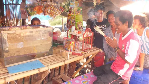 ชาวบ้านแห่ขอโชคม้าน้ำสีทอง ศ.วิจัยทรัพยากรทางทะเลฯชี้เป็น 'ม้าน้ำดำ'