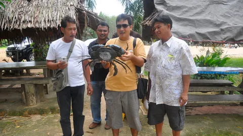 เจออีก ‘ปูยักษ์’ ที่พังงา ฮือฮาหลังกระดองมีเลขเด็ด!