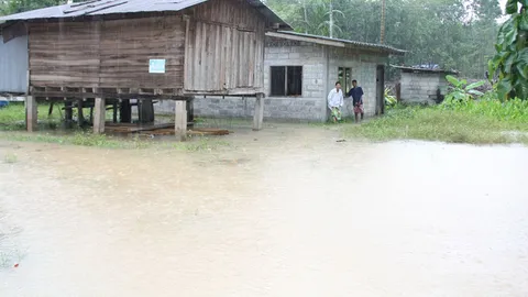 ฝนถล่มพัทลุง 2 วันติด สวนยาง-ปาล์ม เสียหายยับ