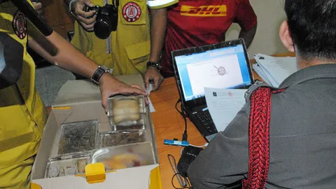 ตร.ยัน 2 ฝรั่งขโมยศพยังอยู่กัมพูชา