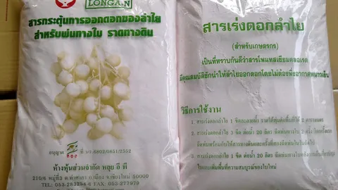 สารเร่งดอกลำไยระเบิด อนิจจา..คอกผุล้อมวัวไม่ได้