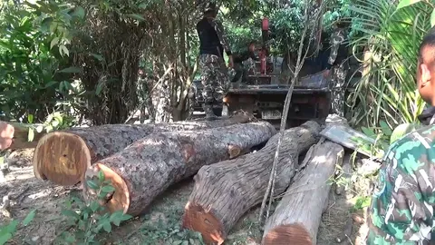 สนธิกำลัง จับไม้เถื่อน 8 ล้าน คาบ้านพักลูกชายเกษตรตำบล คำชะอี 