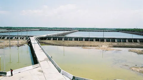 ศาลให้กรมมลพิษ จ่ายหมื่นล้าน