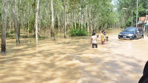 ฝนกระหน่ำ สงขลาอ่วมน้ำเอ่อท่วม อ.สะเดาหลายจุด 