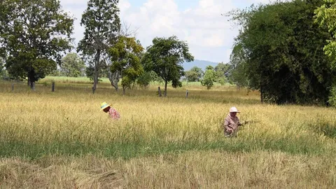 'สมาคมชาวนา' ยื่น สปช.สงวนอาชีพไว้ใน รธน.