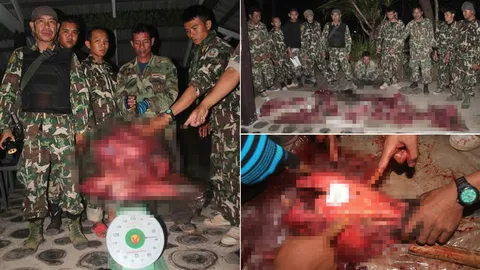 มุกดาหารจับพรานล่าหมูป่าในเขตป่าสงวนฯ