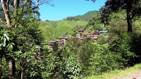 ไร้ไฟฟ้า!หมู่บ้านที่น่าน-กรมป่าไม้ไม่อนุญาต 