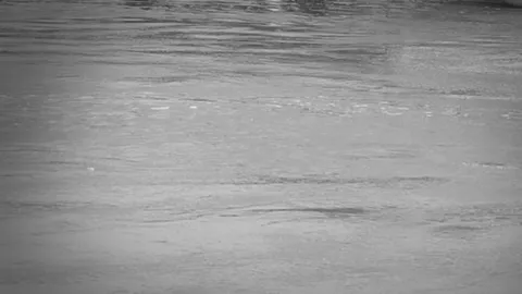 เศร้า! เจ้าของร้านขายโลงศพ ชลบุรี เป็นศพจมบ่อน้ำ