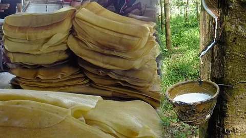 'อำนวย' จ่อออก 4 มาตรการแก้ยางราคาตก รับจ่ายเงิน 1 พันติดขัด