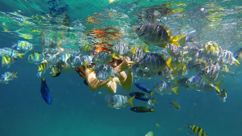 คนไทยโหวต 'เชียงใหม่' และ 'หลีเป๊ะ' น่าเที่ยวสุด! 