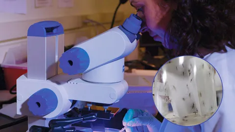 พบหนทางเผด็จไข้จับสั่นใน 2 วัน