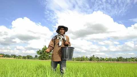 พ่อค้าข้าวกะชาวนา บริบทใหม่เพื่อข้าวไทย