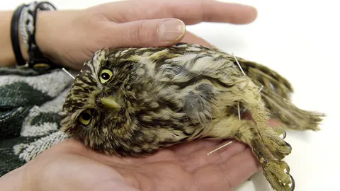 โลกาภิวัตน์ 18/12/57