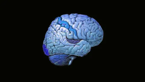 เต้นรำลีลาศ บำรุงสมองดี