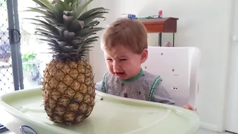 แอปเปิ้ล มะละกอ กล้วย กินได้  เมื่อหนูน้อยกลัว 'สับปะรด' แบบนี้ก็มีด้วย?  (ชมคลิป)