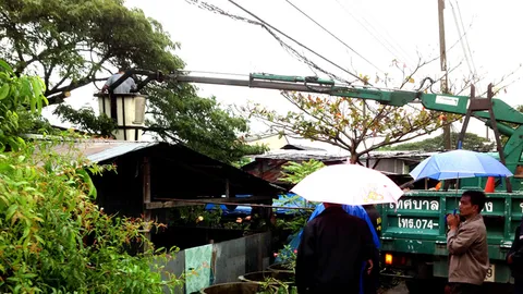 ฝนกระหน่ำซัดเมืองพัทลุงต้นก้ามปูร้อยปีหักโค่นทับบ้าน