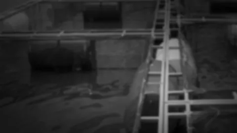 โคราชอากาศหนาว ปลากระชังน็อกน้ำตายเพียบ!