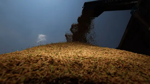 34 ราย แห่ยื่นประมูลข้าวรัฐ ปลื้ม ให้ราคาสูงเกินเกณฑ์