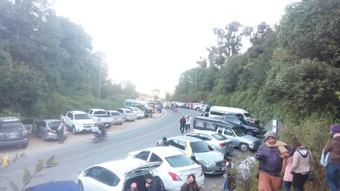 0องศาที่ 'ดอยอินทนนท์' น้ำค้างแข็งยังโผล่ให้เห็น