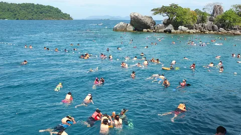 นักท่องเที่ยวแห่ดำน้ำดูปะการังเกาะช้างคึกคัก เงินสะพัดรับปีใหม่