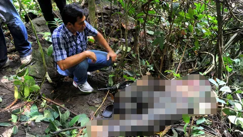 ทพ.45 ปะทะแนวร่วม RKK เทือกเขาเมาะแต ยิงดับ 1