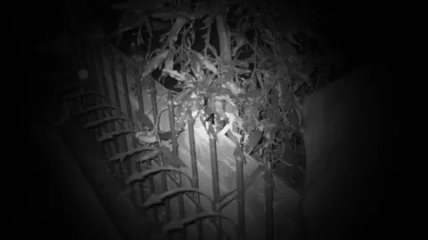 สาวตกตึก โดนเหล็กเสียบร่าง ในซ.พุทธบูชา7 ดับ 