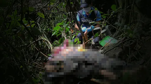 สนธิกำลัง3ฝ่าย คุมเข้มครบรอบ 11 ปี ไฟใต้นราธิวาส