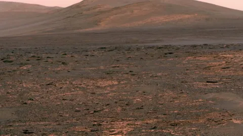 ทำไร่ผักกาดหอม บนดาวอังคาร