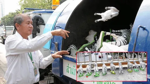 จัดระเบียบ 