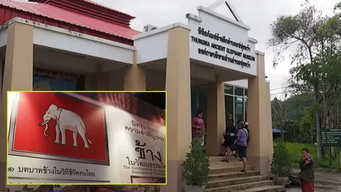 สตูล เปิดพิพิธภัณฑ์ช้าง จัดงาน 'ฟอสซิล เฟสติวัล'