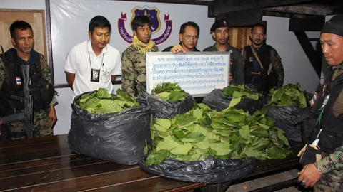 จับหนุ่มใหญ่มาเลย์ ขนใบกระท่อมสด เตรียมส่งลูกค้าไทย