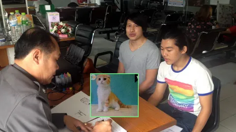 นศ.โร่แจ้งความ! ถูกหลอกซื้อแมว 'สก๊อตติชโฟลด์' ผ่านเว็บ (ชมคลิป)