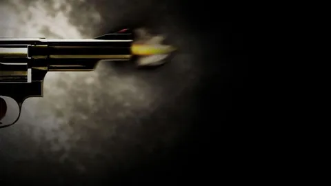 รวบโจ๋พกปืนยิงอริ หลังจบคอนเสิร์ต 'ปู-พงษ์สิทธิ์' ไร้เจ็บ