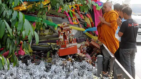 ขอม้าลาย