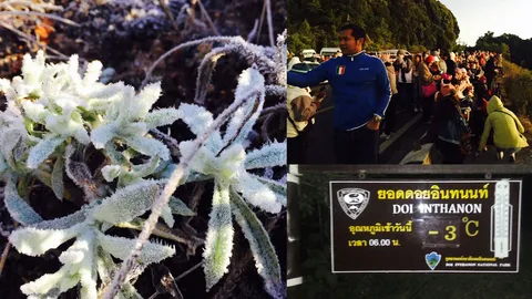 ดอยอินทนนท์ เย็นยะเยือกหนาวในรอบปี ทุบสถิติลบ 3 องศาฯ