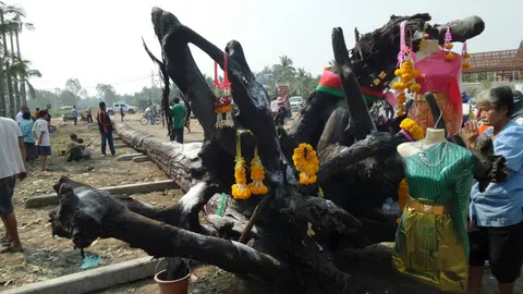 ฝันประหลาดดลใจ หนุ่มใหญ่พบตะเคียนยักษ์ อายุนับร้อยปี (ชมคลิป)