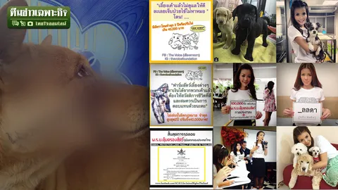 จริงหรือคนเสียเปรียบ! ก.ม.คุ้มครองสัตว์ EP.1 เปิดปฐมบท ทำไมต้องมี