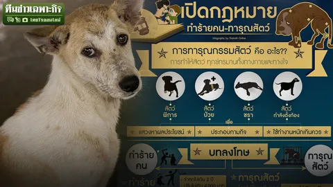 จริงหรือคนเสียเปรียบ! ก.ม.คุ้มครองสัตว์ EP.2 ไขข้อกังขา เตะหมาป้องกันตัว ผิด-ไม่ผิด?