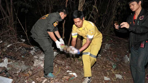 น่าสงสาร