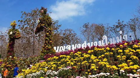 คลิกเดียวรู้! ที่ไหนดีที่ไหนโดน โซนขาเที่ยวเชิญทางนี้