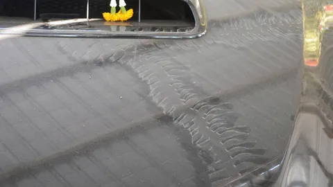 เชื่อ ‘พญานาค’ ขึ้นรถ พ.ต.ท.จัดขันธ์ 5 รับ ซื้อหวยเลขทะเบียน