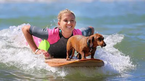 “ตูบไส้กรอก” นักเล่นโต้คลื่น