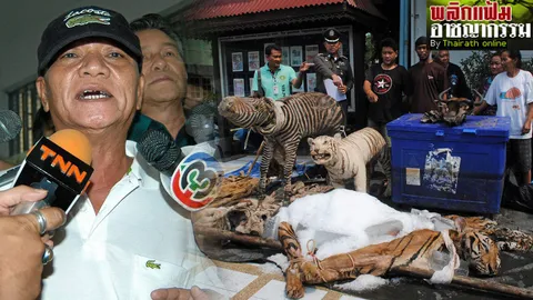 ย้อนรอยทลายแก๊งค้าสัตว์ป่า 'เสี่ยอ๊อด' ตัวการใหญ่ระดับเอเชีย