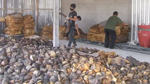 สหกรณ์ภูฝอยลมฯ บริหารดีปีละ200ล้าน