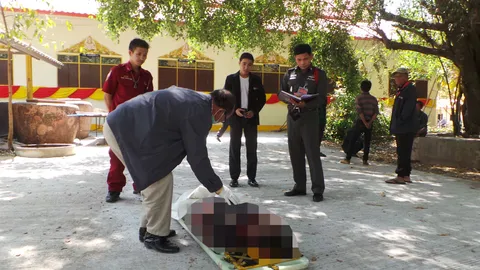 สลด! สัปเหร่อปีนตัดต้นไทร มดแดงรุมกัด-พลาดตก คอหักดับอนาถ