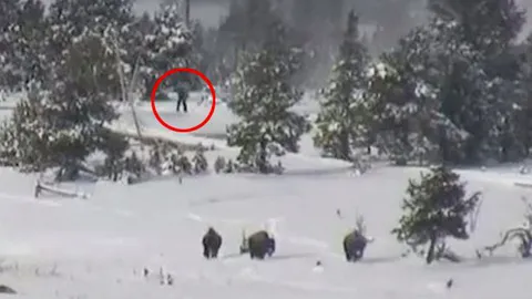 ตะลึง! เจ้า ‘บิ๊กฟุต’ ออกมาเดินเล่น ที่อุทยานแห่งชาติในสหรัฐฯ (ชมคลิป)