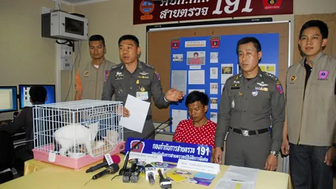 ต้มขายแมวทางเน็ต