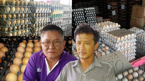 เช็กไข่ลุงบิ๊กตู่ ไข่คืนความสุข