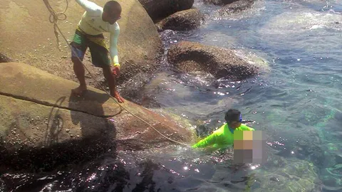 ฆ่าตัวตายพิสดาร! ไกด์ยุ่นกอดหินถ่วงตัวเองใต้ทะเลดับ